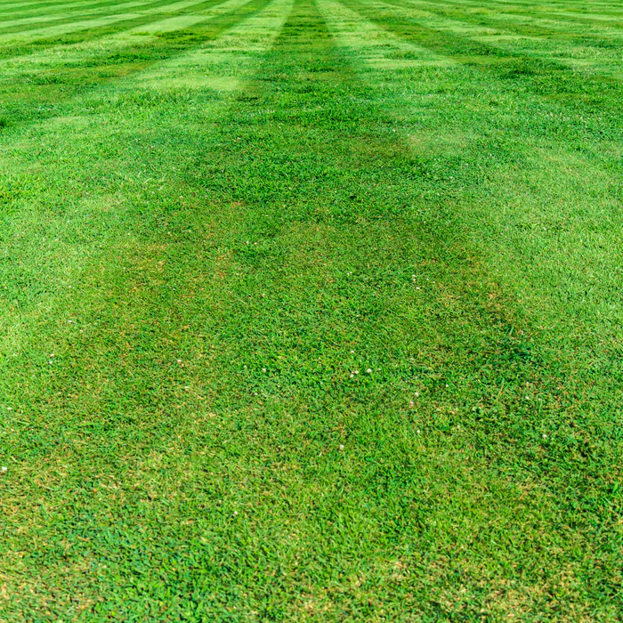 Lawn care website preview card